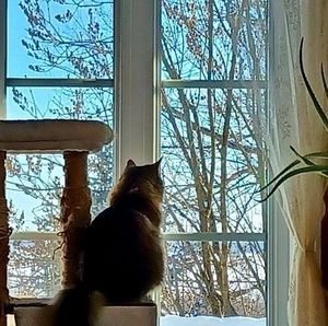 Meet your Posher, Lynn